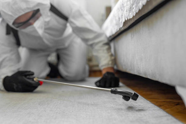 Professional Bed Bug Control technician working in Fern Acres, HI