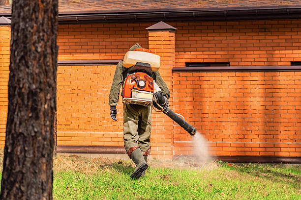 Trusted Cockroach Control service in Fern Acres, HI - Nex Pest Control